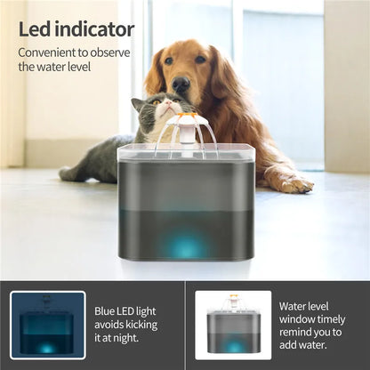 Dispensador de agua LED para mascotas