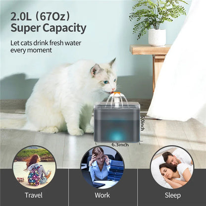 Dispensador de agua LED para mascotas